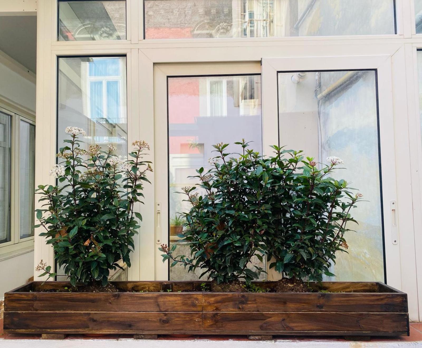 La Casa Di Apollo Apartment Naples Exterior photo